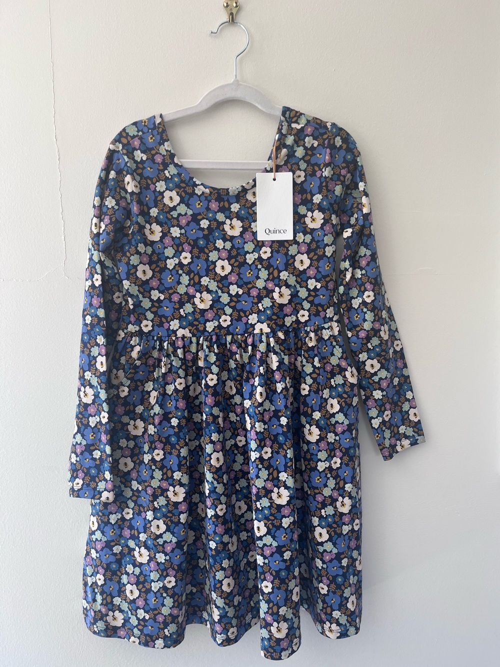 NWT Quince | Long-Sleeve Skater Dress in Blue Poppy Floral | Size 8